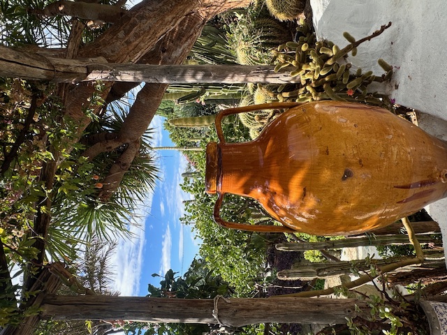 LA DOLCE VITA – ITÁLIE, OSTROV ISCHIA